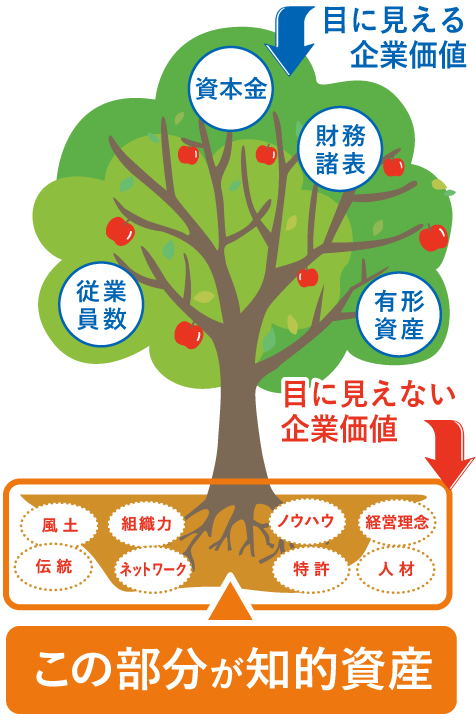 知的資産経営支援